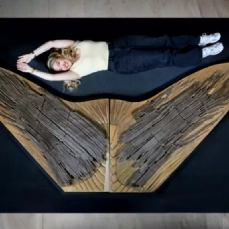 Natural History Museum Unveils Jurassic Oceans: Monsters of the Deep Exhibition