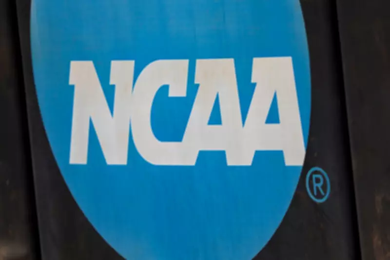 NCAA Basketball Point-Shaving Fixer Pleads Guilty in Multi-Million Dollar Betting Scheme