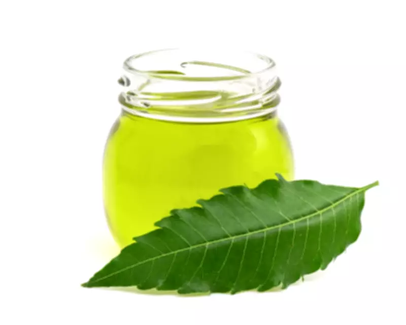 Neem Oil: A Natural Solution for Battling Mealybug Infestations on Houseplants