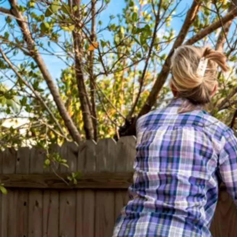Neighbour Discovers Abandoned Cat After Hearing Noises in Empty Property