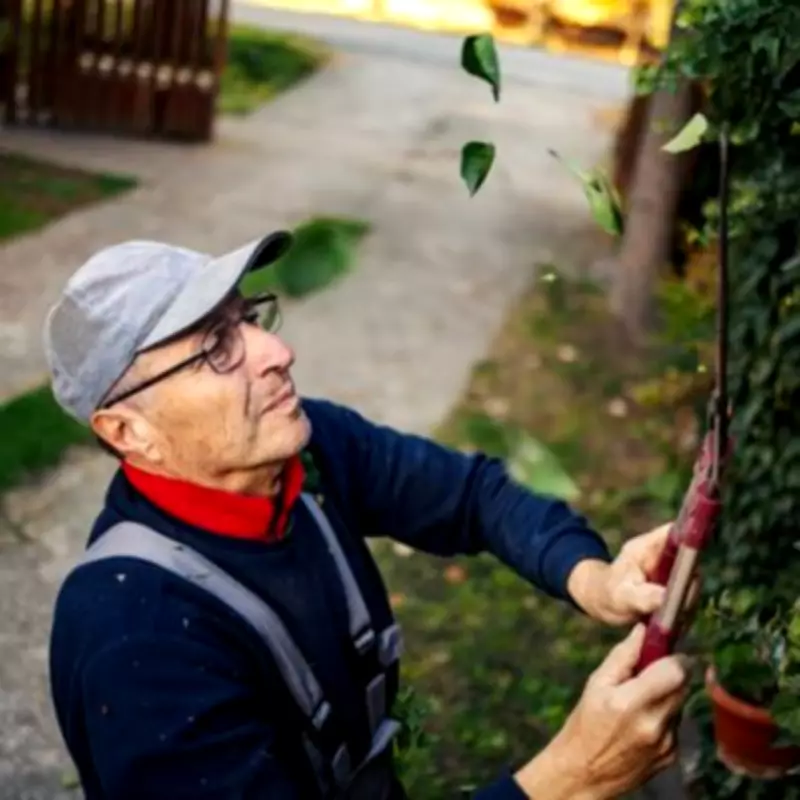 Neighbour Disputes Over Hedges and Trees Could Lead to £26,000 in Fines