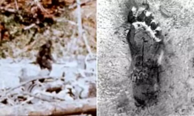 New Documentary Claims 1967 Bigfoot Film Was a Hoax Amid Ohio Sightings Surge