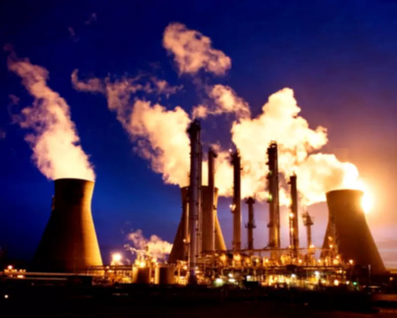 New Green Thinktank Proposes 'Doge of the Left' to Save UK Taxpayers £30bn Annually