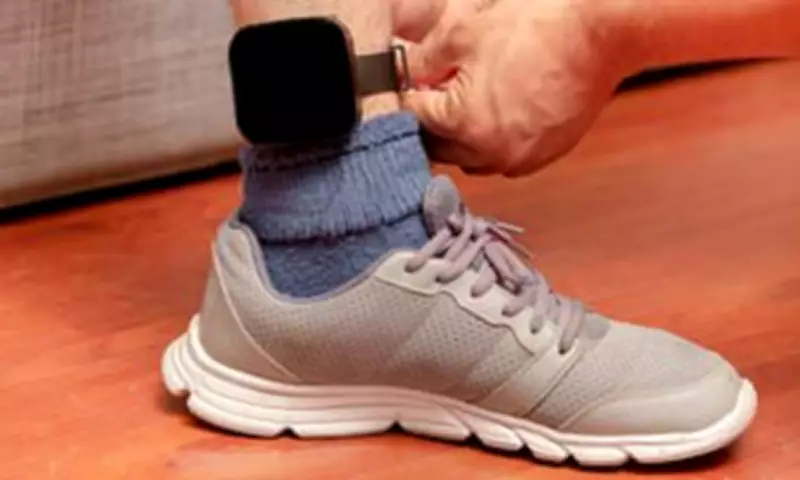 New Probation Tagging Delayed as Labour's Early Prisoner Release Begins