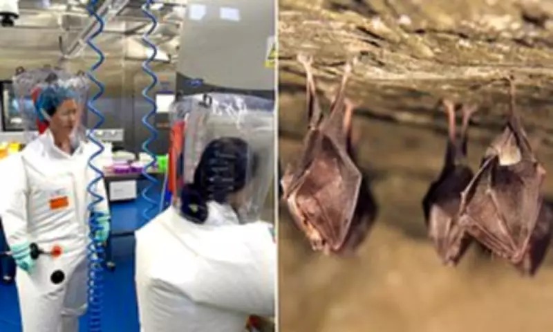 New Study Debunks Lab Leak Theory for Covid, Points to Natural Animal Origin