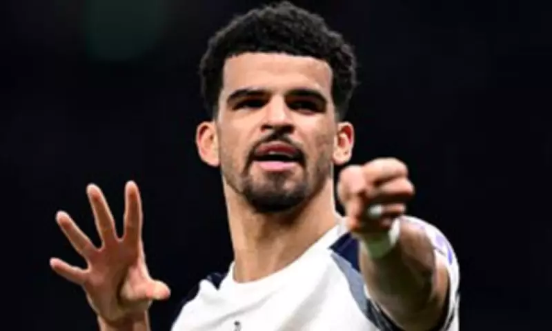 Newcastle United Eye Tottenham's Dominic Solanke as Summer Transfer Target