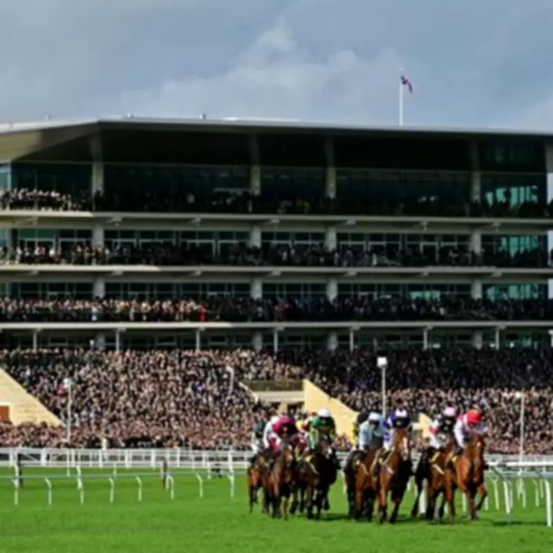 Newsboy's Cheltenham Festival Day One Guide: Expert Tips and 1-2-3 Predictions