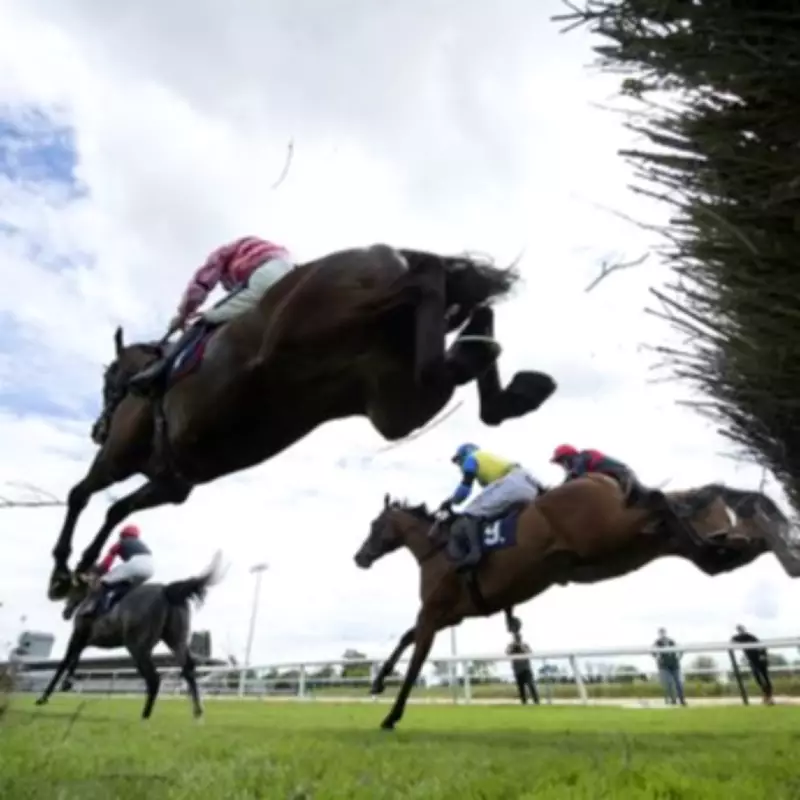 Newsboy's Horse Racing Tips: Peckforton Hills Nap at Southwell on Tuesday