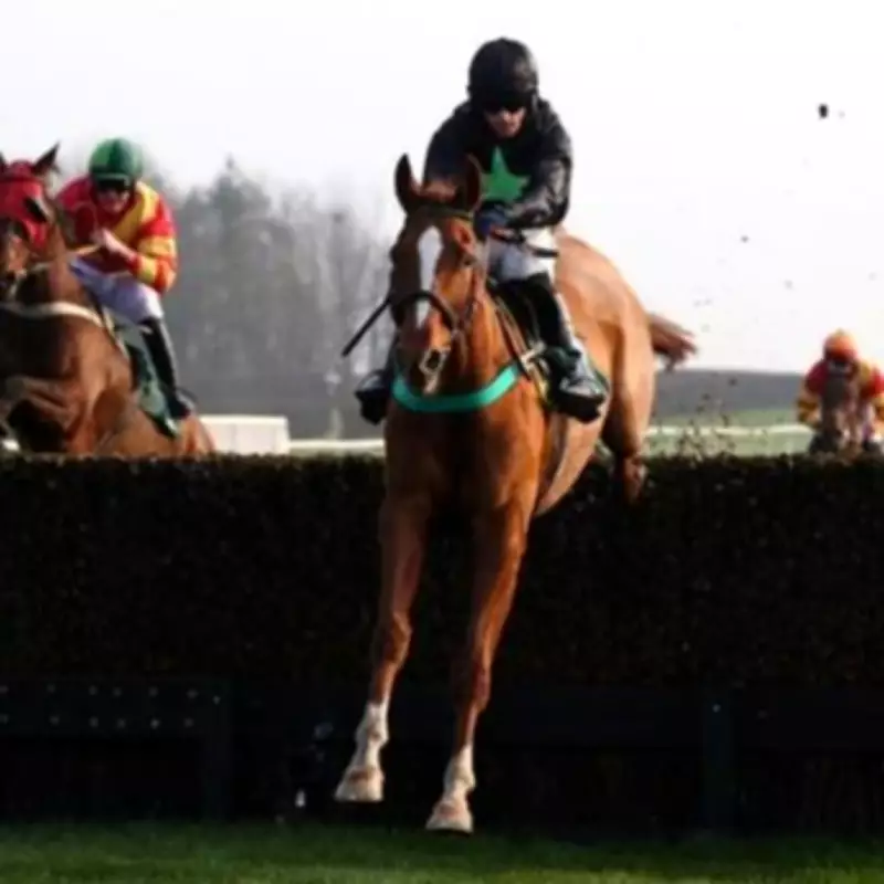 Newsboy's Racing Picks: Enya Tipped as Nap at Catterick on Tuesday