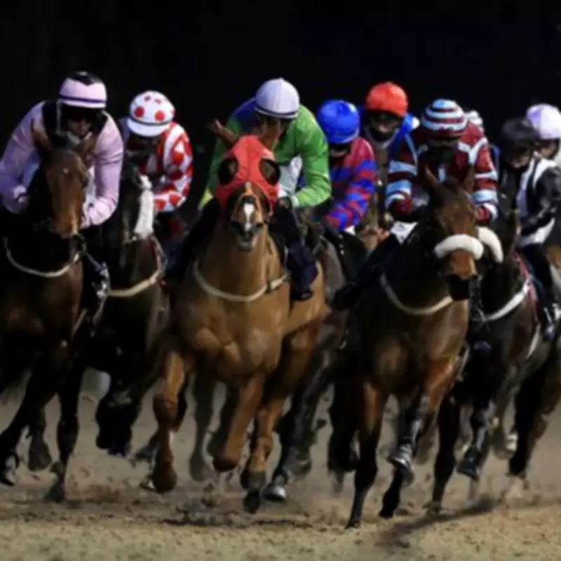 Newsboy's Racing Tips: Fistral Beach Napped at Wolverhampton on Monday