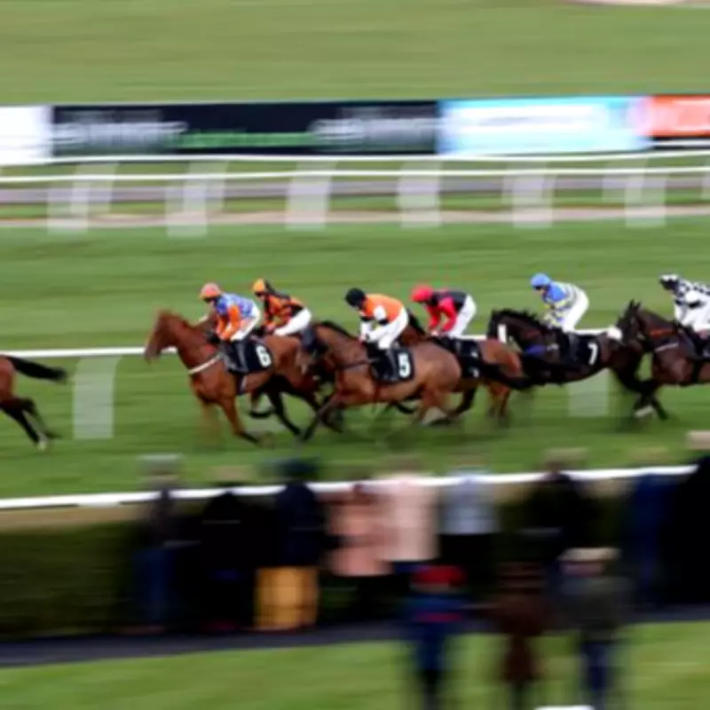 Newsboy's Thursday Racing Tips: Outer Banks Nap at Haydock and Frank Stamper Double