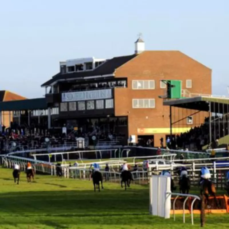 Newsboy's Thursday Racing Tips: Sedgefield NAP and Nicholls' Contender