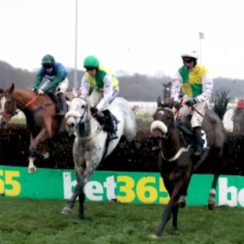 Newsboy's Tuesday Racing Tips: Whiskey On Ice and Al Shabab Highlighted