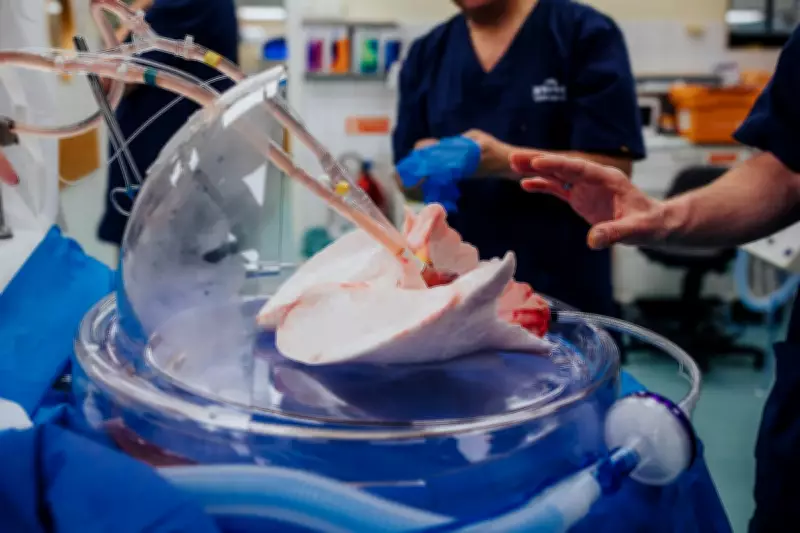 NHS Organ Preservation Pilot Could Boost Transplants by Hundreds Annually