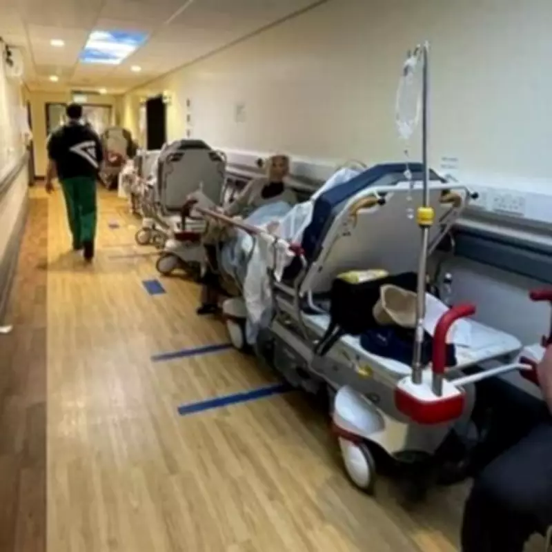 NHS Staff Ashamed of Corridor Care Crisis, Warn It's Killing Thousands