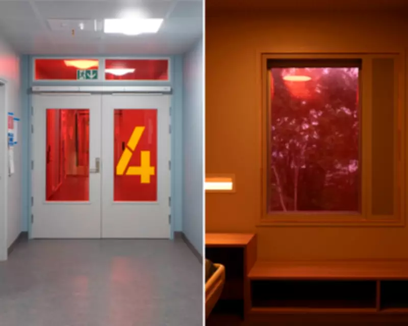 Norwegian Study Reveals How Light Colour Could Transform Mental Health Treatment