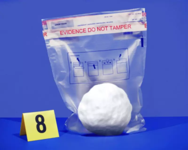 NYPD Officers Face Disciplinary Action Over Snowball Fight Incident