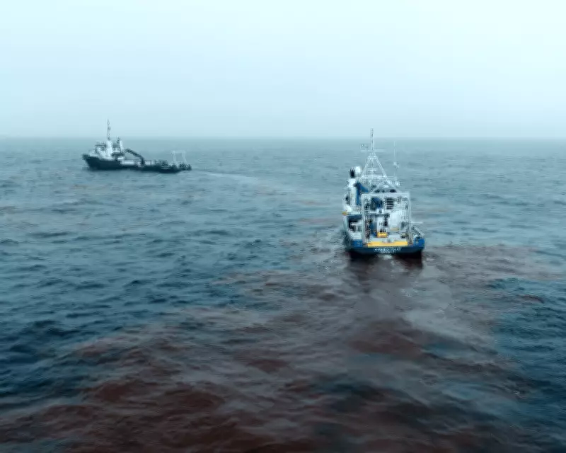 Ocean Alkalinity Enhancement Trial Shows Promise in Combating Climate Change