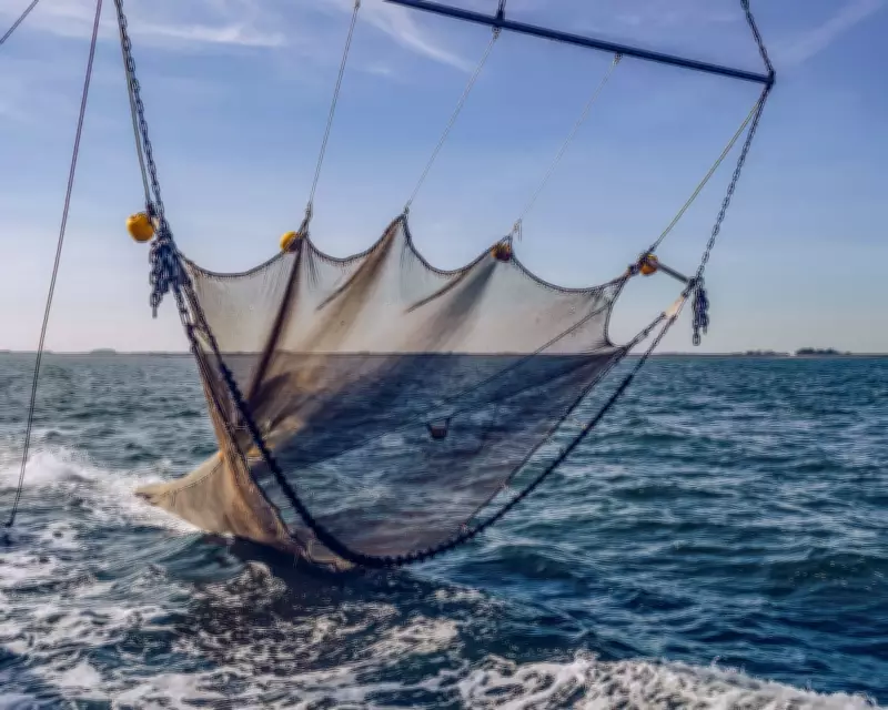 Ocean Heating and Overfishing Must Be Addressed Jointly, Experts Warn