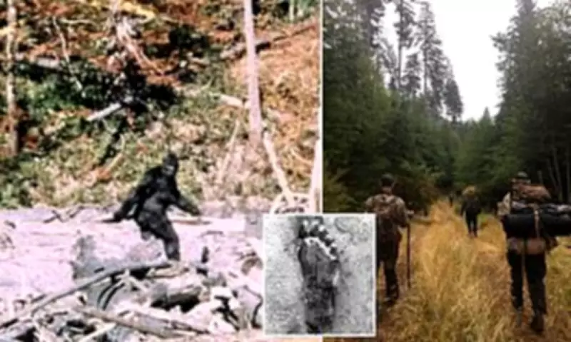 Ohio Bigfoot Sightings Surge: Eight Reports in Four Days Spark 'Flap' Theory