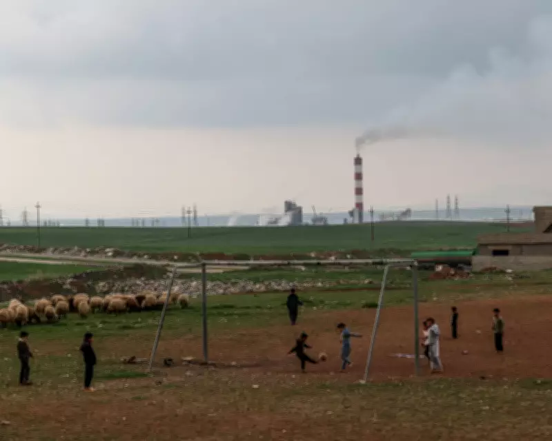 Oil Prices Drop as Iraq Resumes Exports via Turkey Amid Middle East Conflict