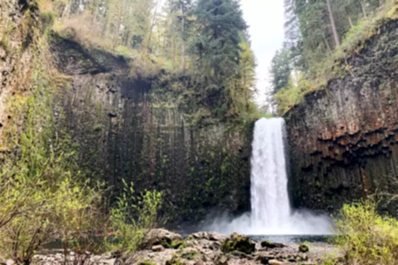 Oregon Lawmakers Secure $2.1 Million to Purchase Iconic Abiqua Falls