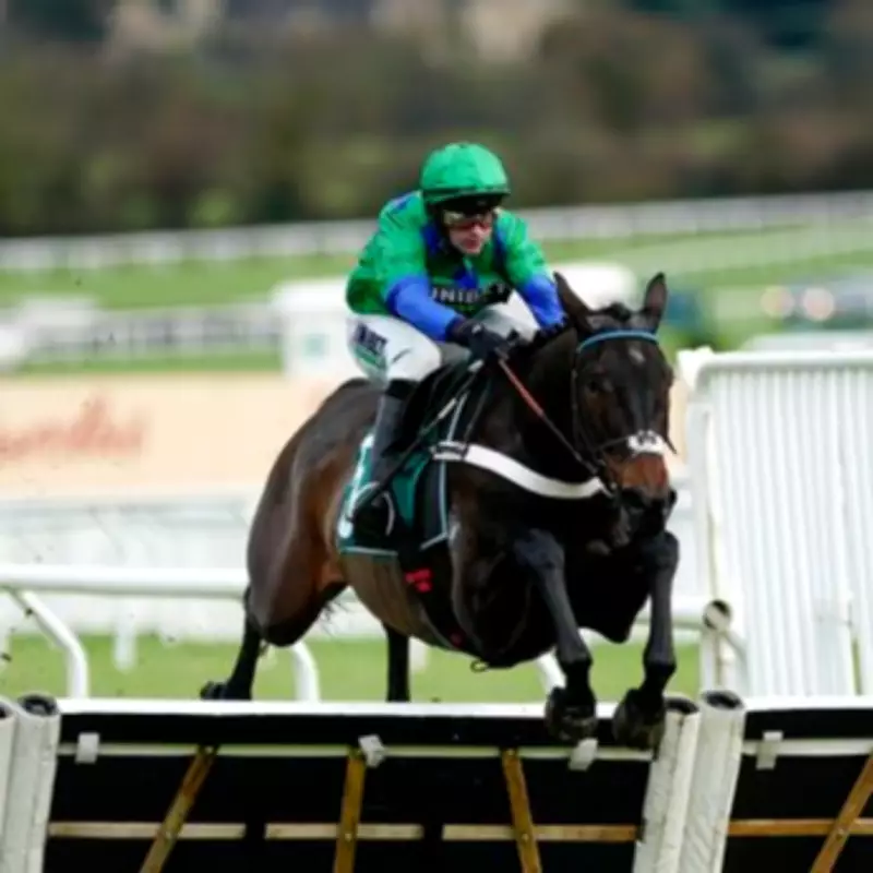 Owner's Lucky Rituals and Business Success Fuel Cheltenham Festival Contenders