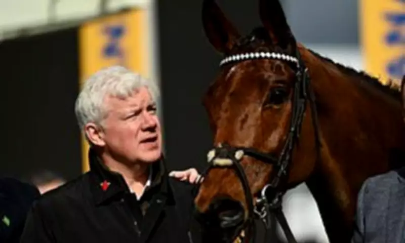 Owner's Unbreakable Bond with Bob Olinger Ahead of Cheltenham Festival