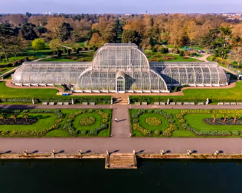 Paris Fashion Week Showcases Elegance and a Well-Groomed Collie in Daily Photos