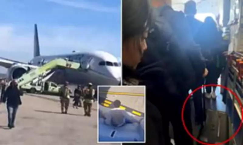 Passengers Defy Evacuation Orders, Grab Luggage During LAX Plane Emergency