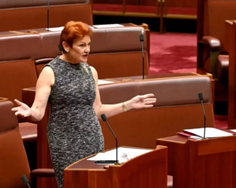 Pauline Hanson's One Nation Party Criticised as 'Stunt-Driven' in SA Election