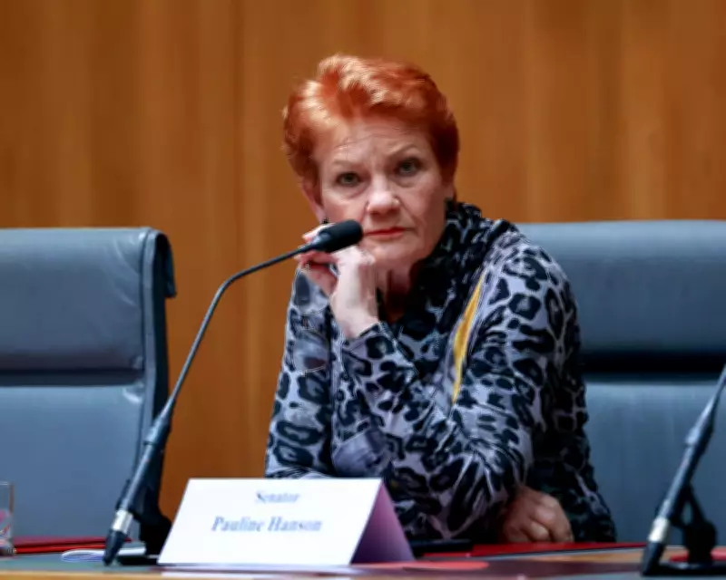 Pauline Hanson's Solar Rebate Sparks Hypocrisy Claims Amid Renewables Criticism