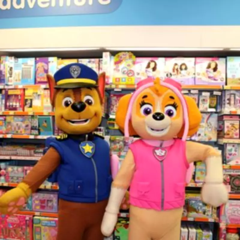 Paw Patrol Sand Art Kit Recalled Over Asbestos Contamination Fears