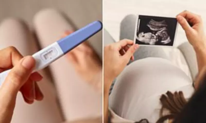 Peers Launch Final Bid to Block 'Reckless' Abortion Up to Birth Legislation