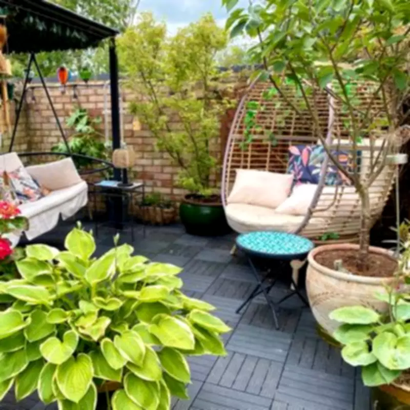 Pergolas Boost UK House Prices by Up to 20%, Adding £60,000 Value