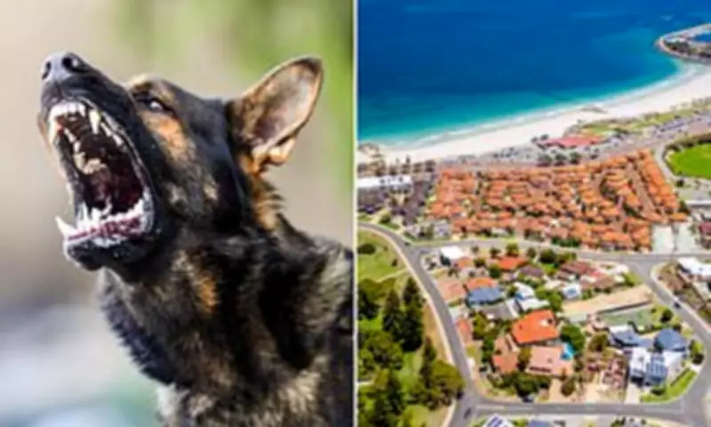 Perth Girl, Under 10, Suffers Severe Facial Injuries in Vicious Dog Attack