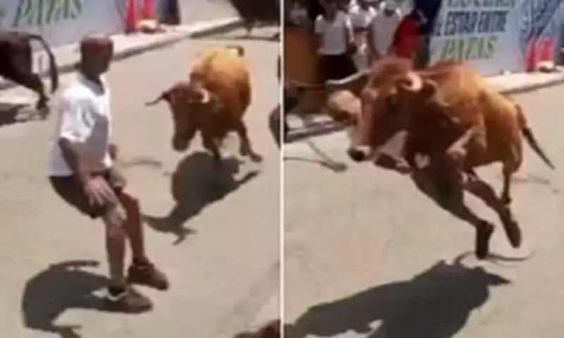 Peruvian Festival Bull Attack Survivor Miraculously Escapes Death
