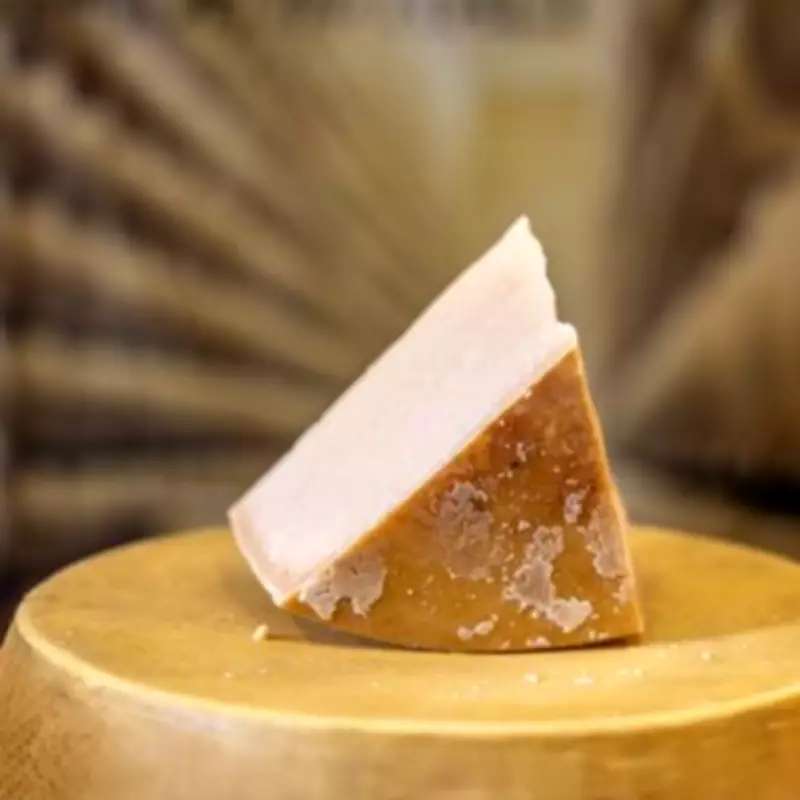 Pharmacist Warns Cheese and Dairy Can Interfere with Common Medications