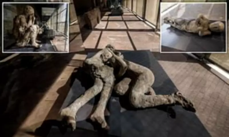 Pompeii's Final Moments Preserved in New Exhibition of Plaster Casts