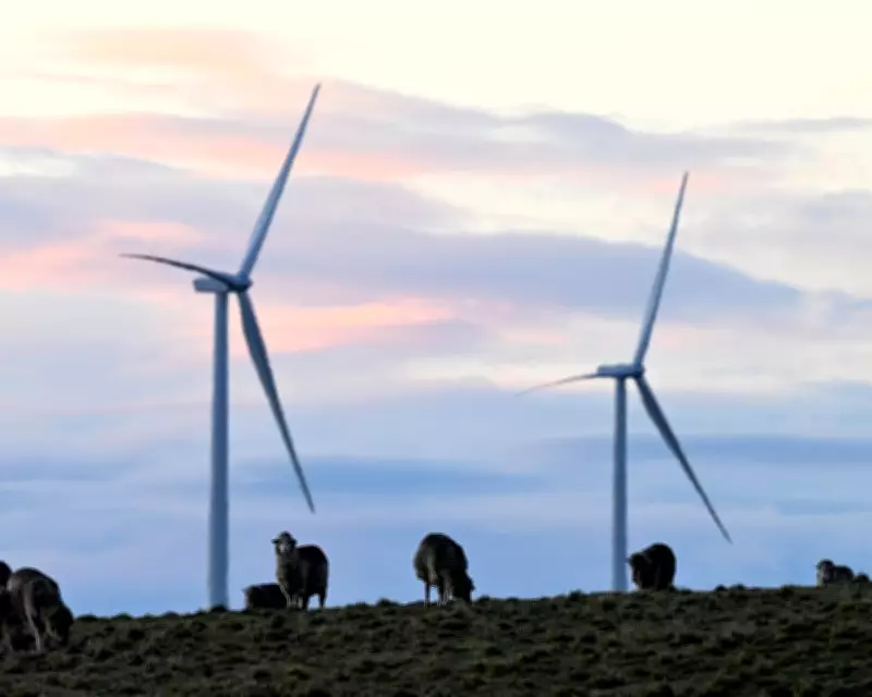 Power Prices Set to Drop Up to 10% on Australia's East Coast from July