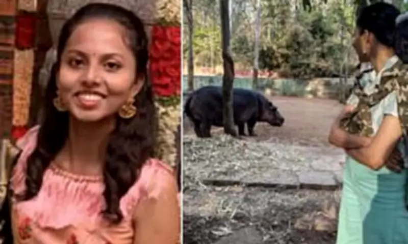 Pregnant Hippo Kills Young Vet During Temperature Check at Indian Safari Zoo