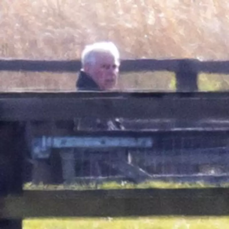 Prince Andrew Spotted Longingly at Horses After Reported Riding Ban