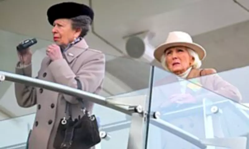 Princess Anne and Mary Berry Lead Celebrity Turnout at Cheltenham Gold Cup Finale