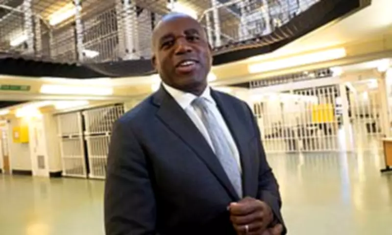 Prisons Watchdog Warns Public at Risk as Dangerous Criminals Freed