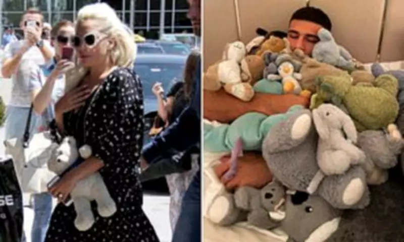 Psychologist Reveals Why Adults Keep Childhood Teddy Bears for Comfort