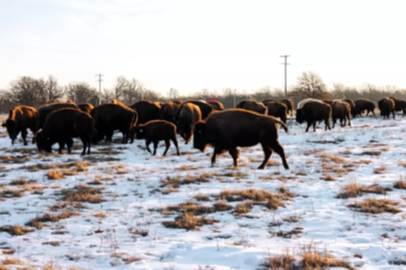 Quapaw Nation Revives Land After US Mining Pollution, Leading Superfund Cleanup