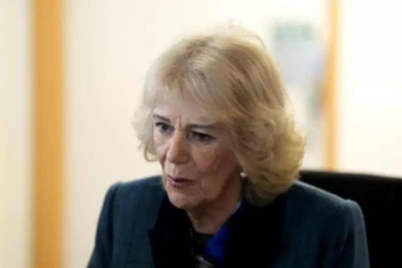 Queen Camilla Praises Children's Book on WWII Veterans' Untold Stories