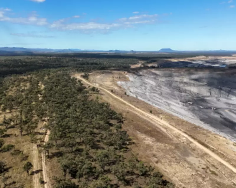 Queensland Approves Glencore's Hail Creek Mine Expansion, Threatening Koala Habitat