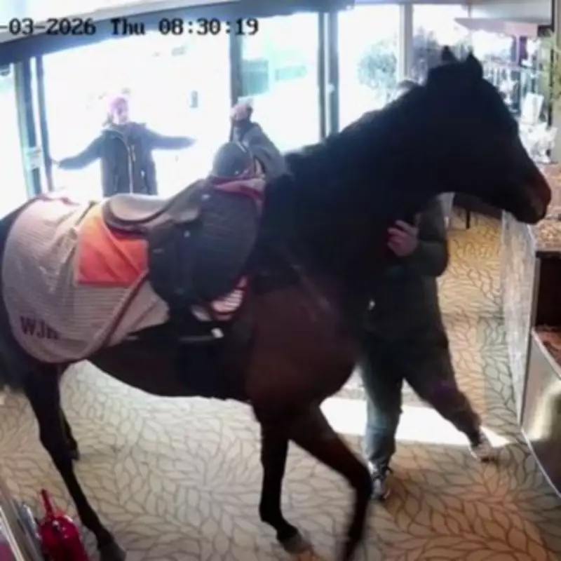 Racehorse Worth 375,000 Guineas Strolls into Newmarket Hotel Lobby