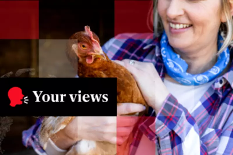 Readers Advocate Raising Hens Over Buying 'Posh' Supermarket Eggs